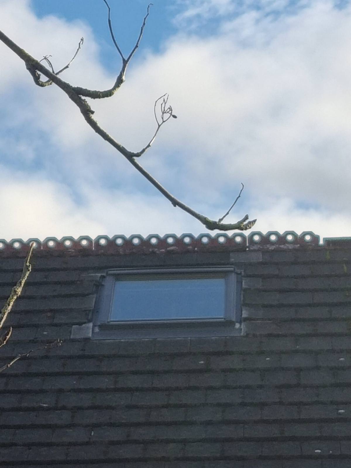 Construction project Preston 45